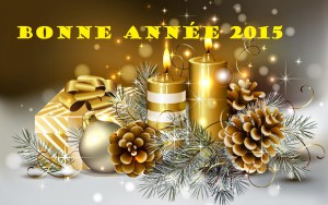 bonne année