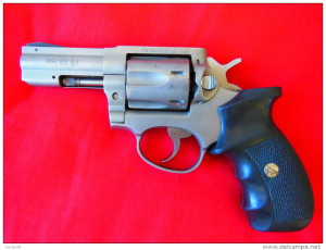 SNPM 357 magnum